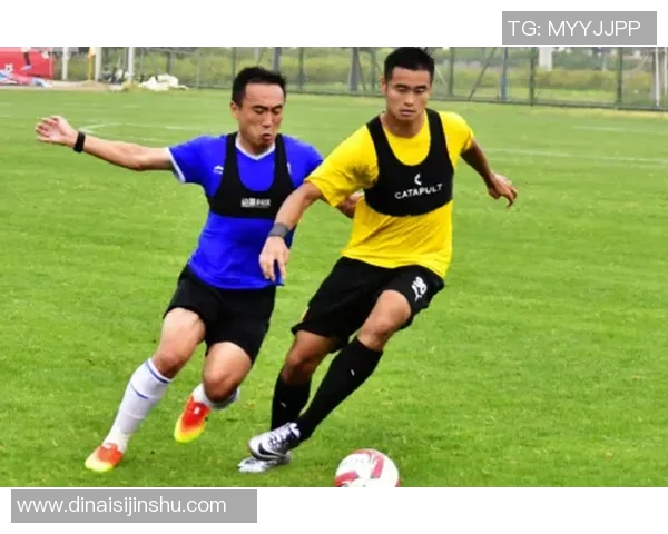 武汉网球队灵活性分析与表现评估的深度研究与启示 武汉网球队灵活性分析与表现评估的深度研究与启示