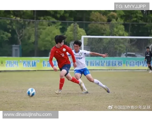 南京足球队在足球比赛经验排名中创下新高引发广泛关注与期待